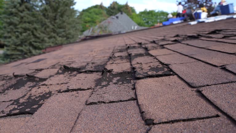 Hot Roofs in Hollymead, VA