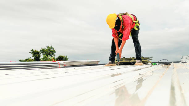 Best Hot Roofs  in Hollymead, VA